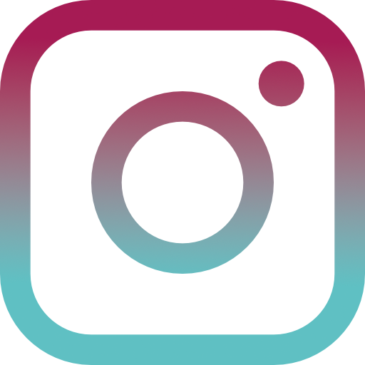 Icone Instagram avec les couleurs de ma charte graphique